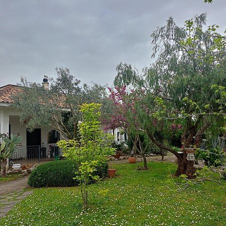 La Casa Di Fede Hotel Lanuvio Kültér fotó