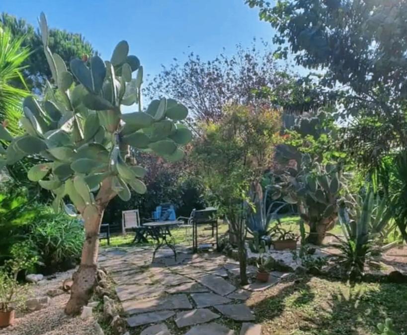 La Casa Di Fede Hotel Lanuvio Kültér fotó