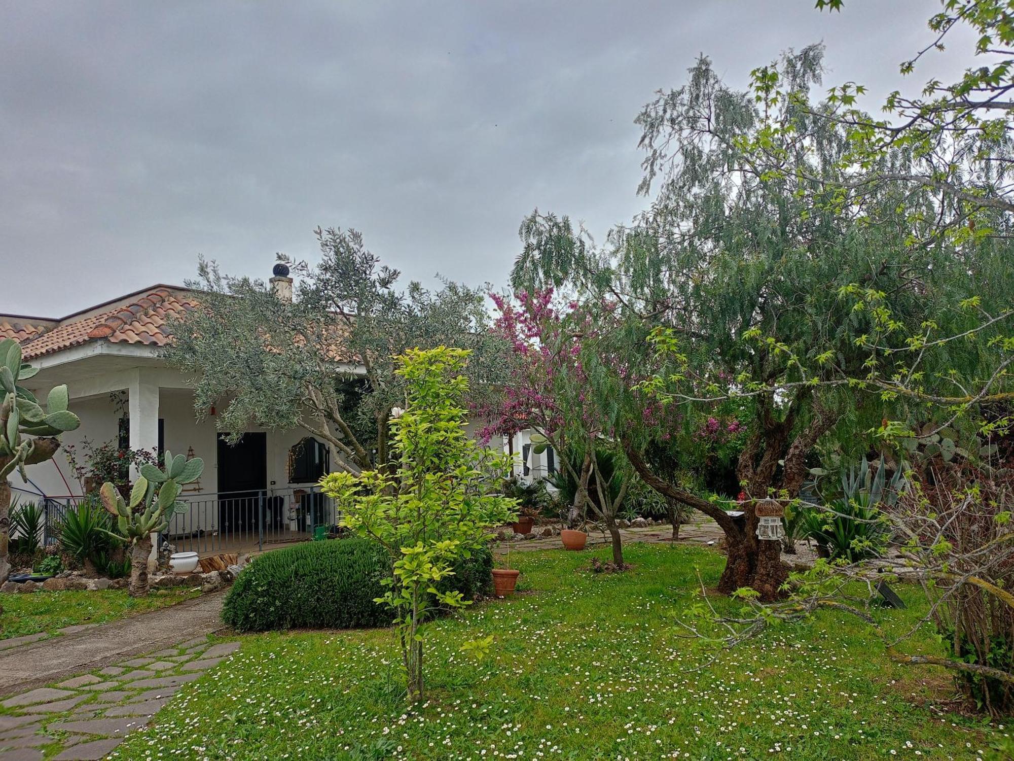 La Casa Di Fede Hotel Lanuvio Kültér fotó
